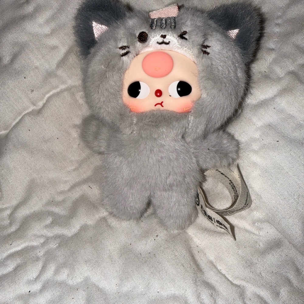 Gray Cat baby three